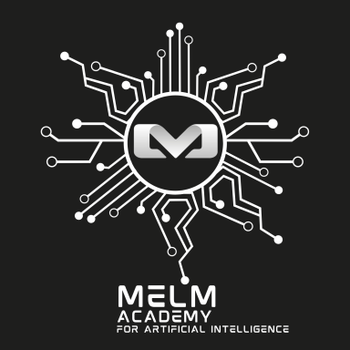 MELM Academy